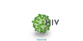 Replicação do HIV e Ação dos Anti-Retrovirais