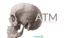 Aspectos Anatômicos e Biomecânica da ATM