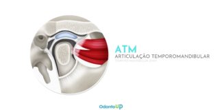 ATM – Articulação Temporomandibular ATM TMJ