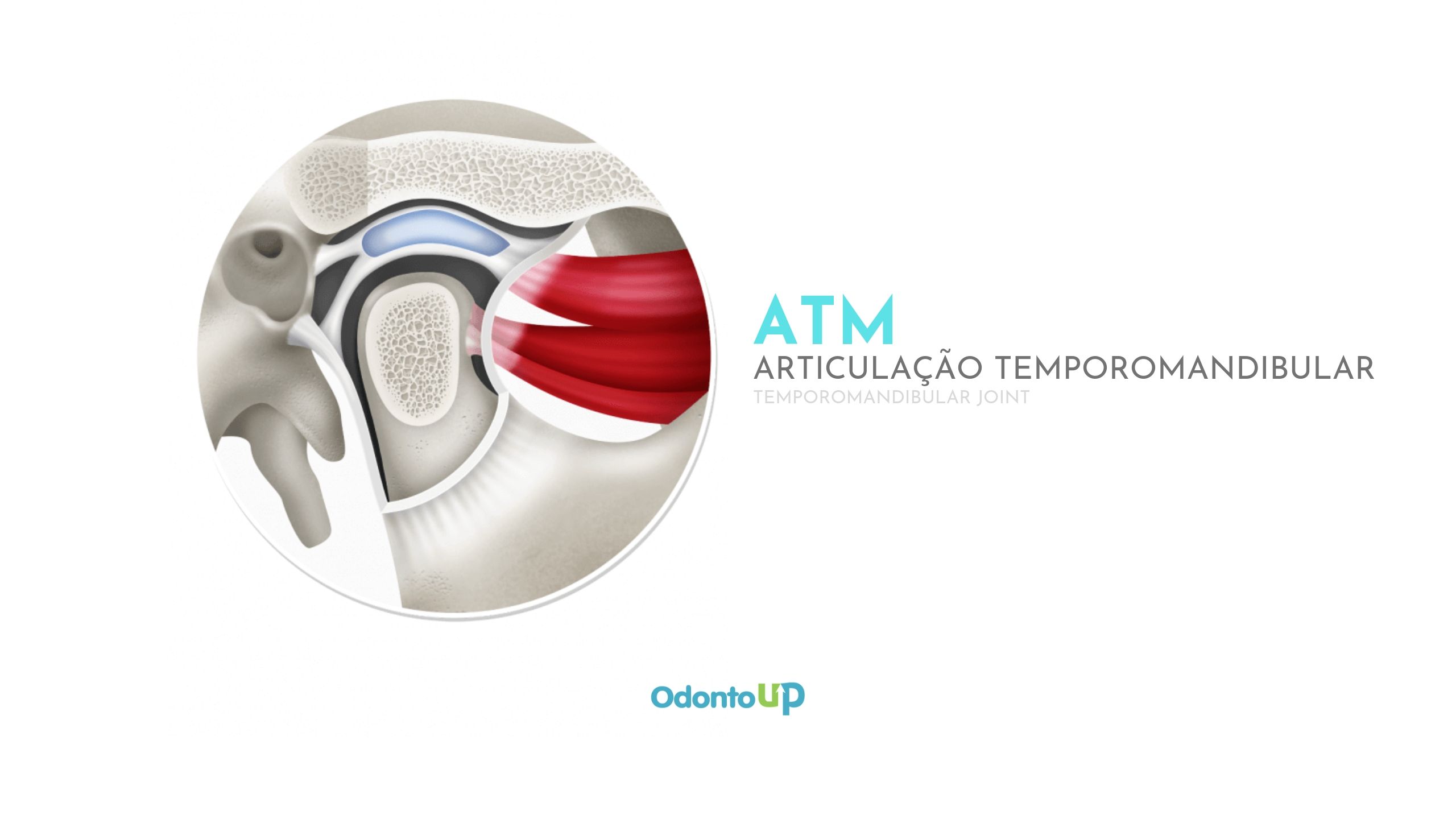 A mandíbula travada está relacionada com problemas na articulação  temporomandibular, conhecida como ATM. O disco articular dessa área pode  entrar em descompasso e se deslocar, o que resulta no incômodo e travamento