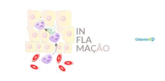 Princípios da Inflamação