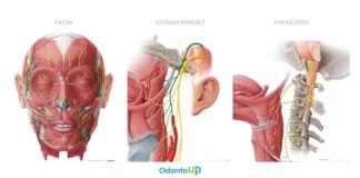 Nervo Facial, Glossofaríngeo e Hipoglosso