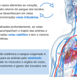 sISTEMA