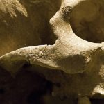 forense-1024