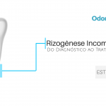 Rizogênese Incompleta-5