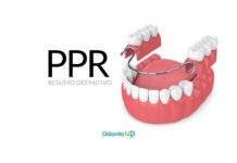 PPR – Da Introdução à Classificação