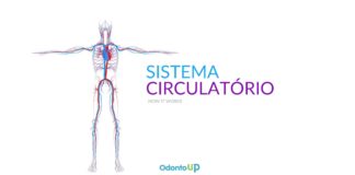 Sistema Circulatório
