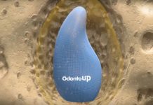 Biogênese da Dentição Humana