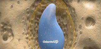 Biogênese da Dentição Humana