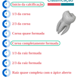 CLASSIFICAÇÃO DE  NOLLA-2