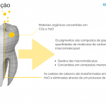 clareamento