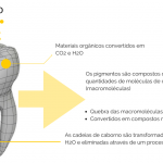 clareamento