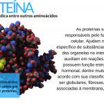 PROTEINA