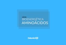 Bioenergética: Aminoácidos