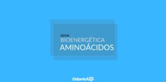 Bioenergética: Aminoácidos