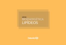 Bioenergética: Lipídeos