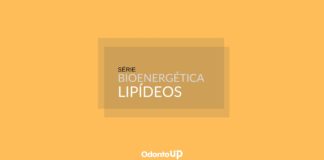 Bioenergética: Lipídeos