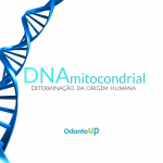DNA mitocondrial