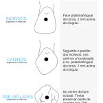Ponto de Eleicao