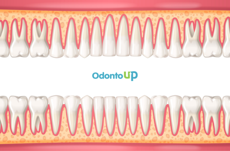 Tipos de dentes humanos: incisivos, caninos, pré-molares e molares tipos de dentes humanos – classificação na Odontologia